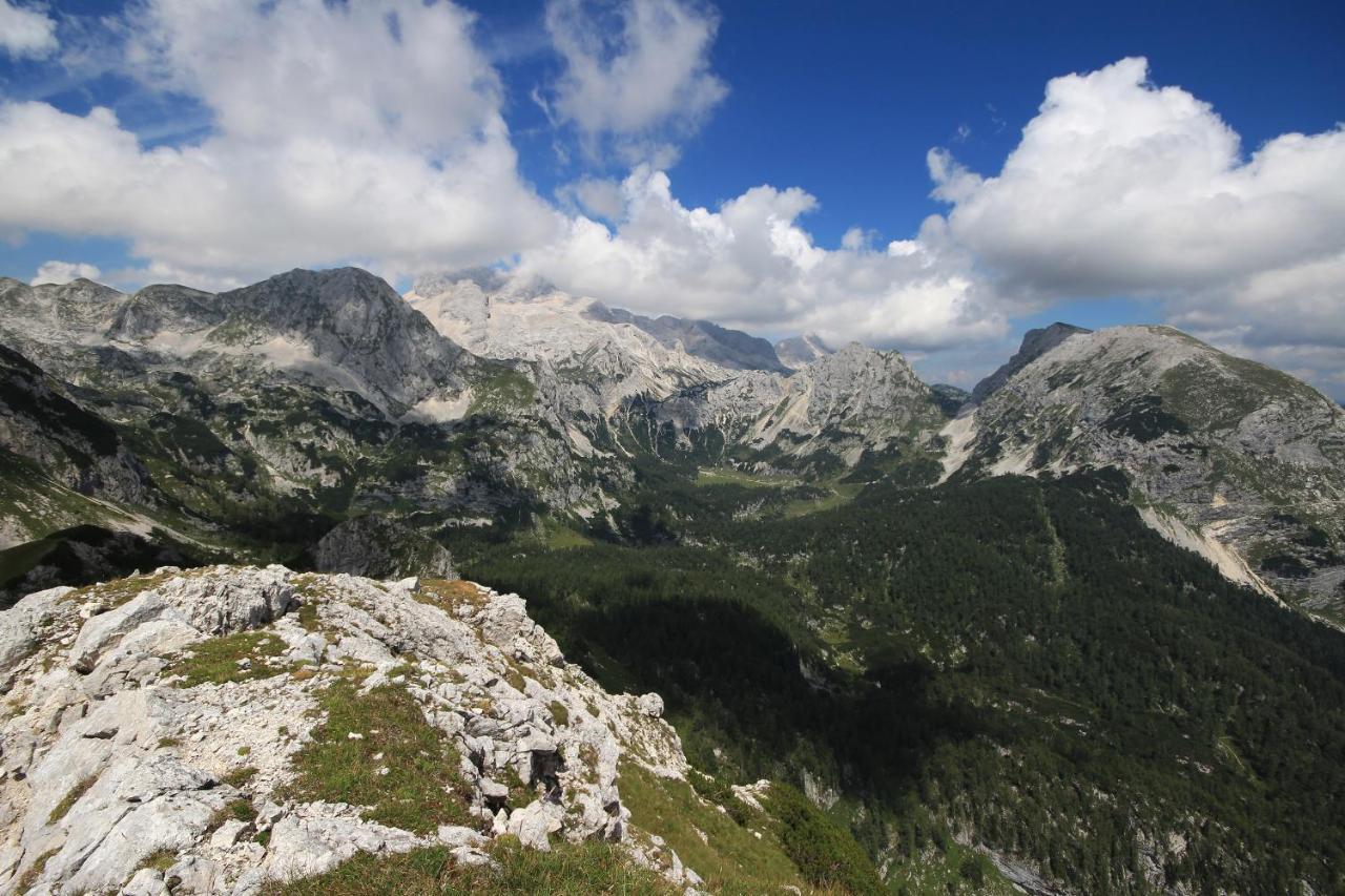 Chalet Pr Dobravc Бохинь Экстерьер фото