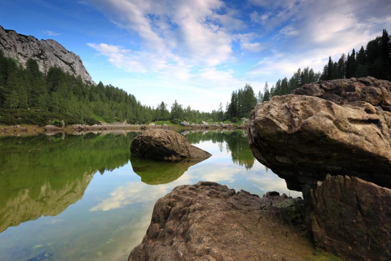 Chalet Pr Dobravc Бохинь Экстерьер фото