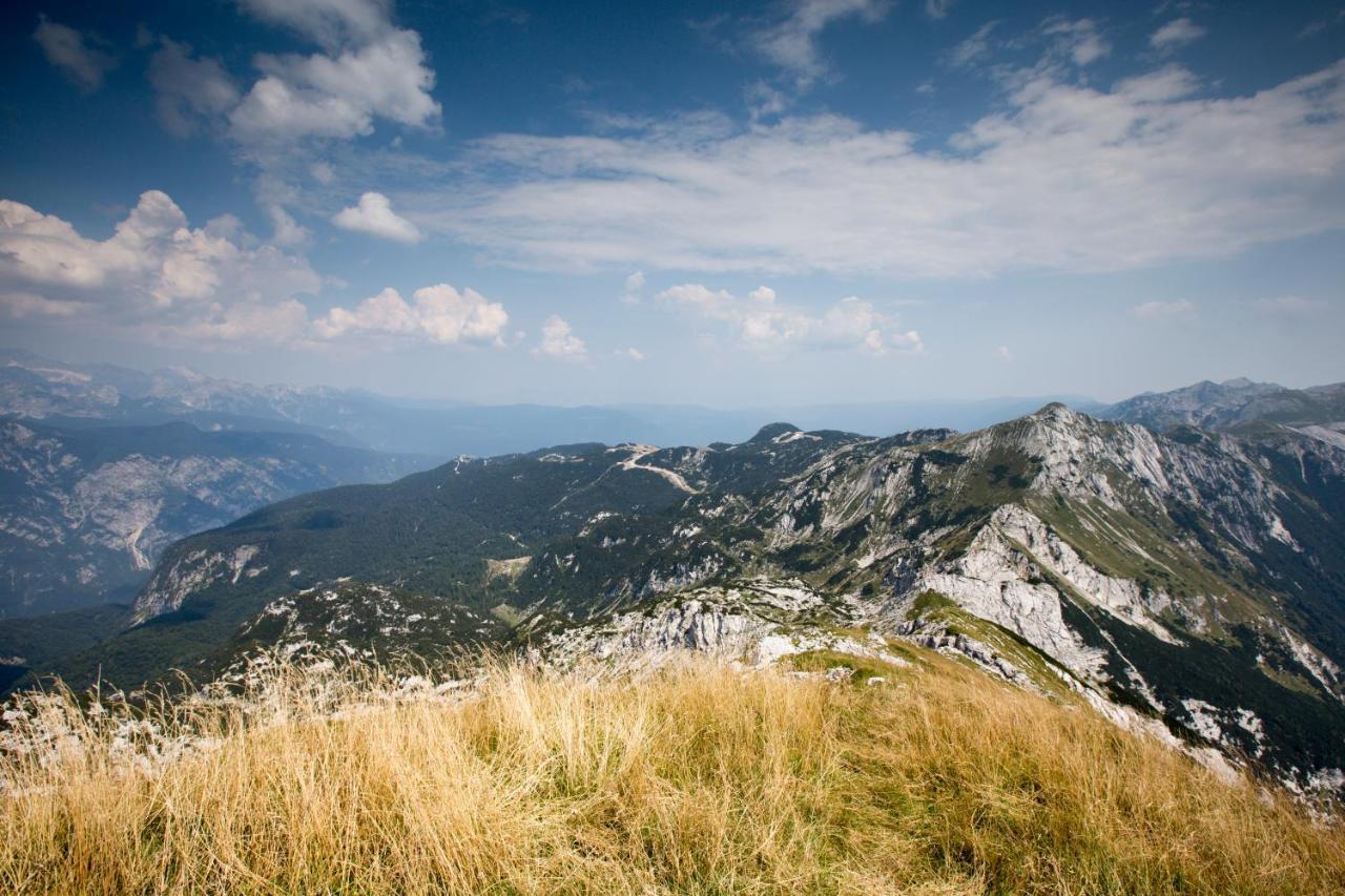 Chalet Pr Dobravc Бохинь Экстерьер фото
