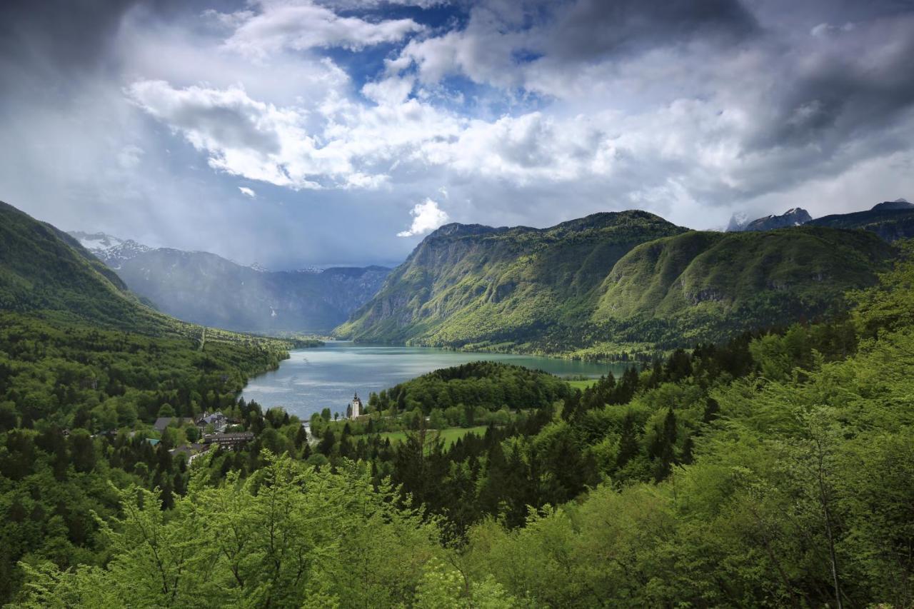 Chalet Pr Dobravc Бохинь Экстерьер фото